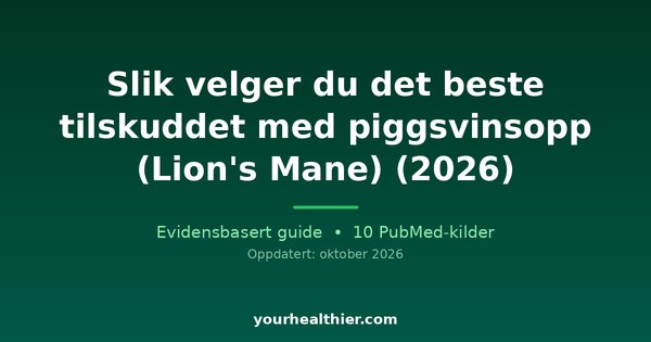 Slik velger du det beste tilskuddet med piggsvinsopp (Lion’s Mane) (2026)
