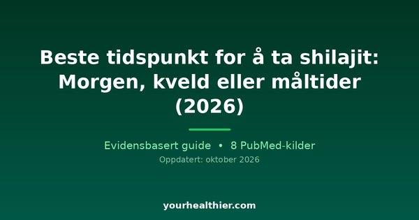 Beste tidspunkt for å ta shilajit: Morgen, kveld eller måltider (2026)