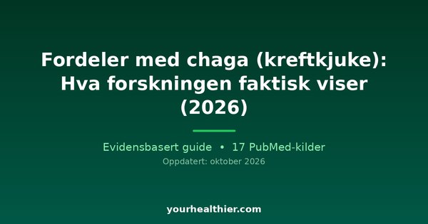 Fordeler med chaga (kreftkjuke): Hva forskningen faktisk viser (2026)