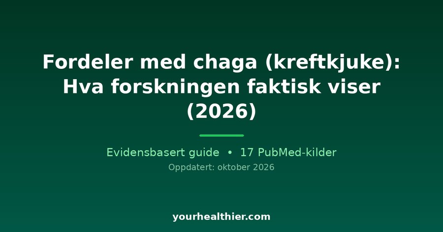 Fordeler med chaga (kreftkjuke): Hva forskningen faktisk viser (2026)