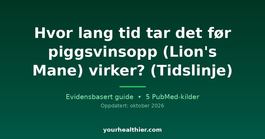 Hvor lang tid tar det før piggsvinsopp (Lion’s Mane) virker? (Tidslinje)