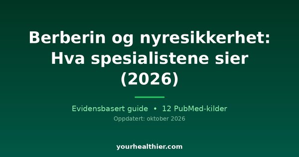 Berberin og nyresikkerhet: Hva spesialistene sier (2026)