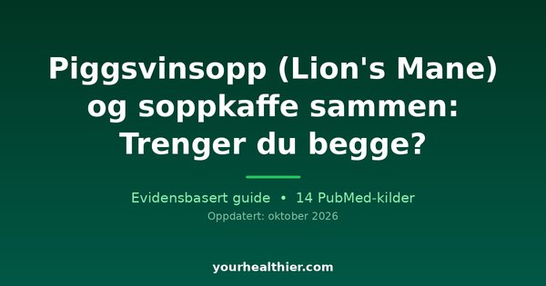 Piggsvinsopp (Lion’s Mane) og soppkaffe sammen: Trenger du begge?