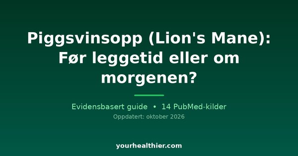 Piggsvinsopp (Lion’s Mane): Før leggetid eller om morgenen?