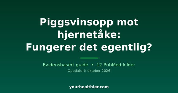 Piggsvinsopp mot hjernetåke: Fungerer det egentlig?