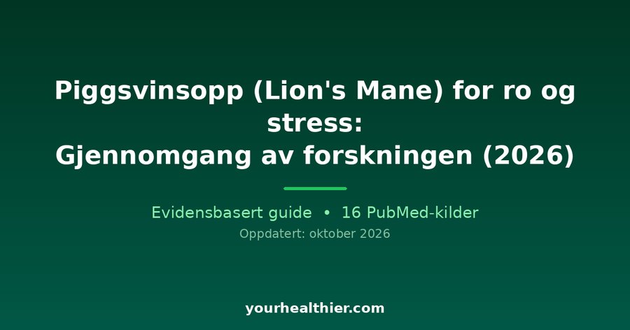 Piggsvinsopp (Lion’s Mane) for ro og stress: Gjennomgang av forskningen (2026)