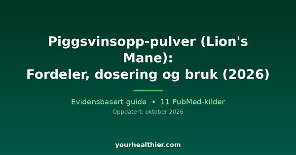 Piggsvinsopp-pulver (Lion’s Mane): Fordeler, dosering og bruk (2026)
