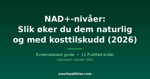NAD+-nivåer: Slik øker du dem naturlig og med kosttilskudd (2026)