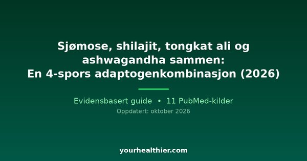 Sjømose, shilajit, tongkat ali og ashwagandha sammen: En 4-spors adaptogenkombinasjon (2026)