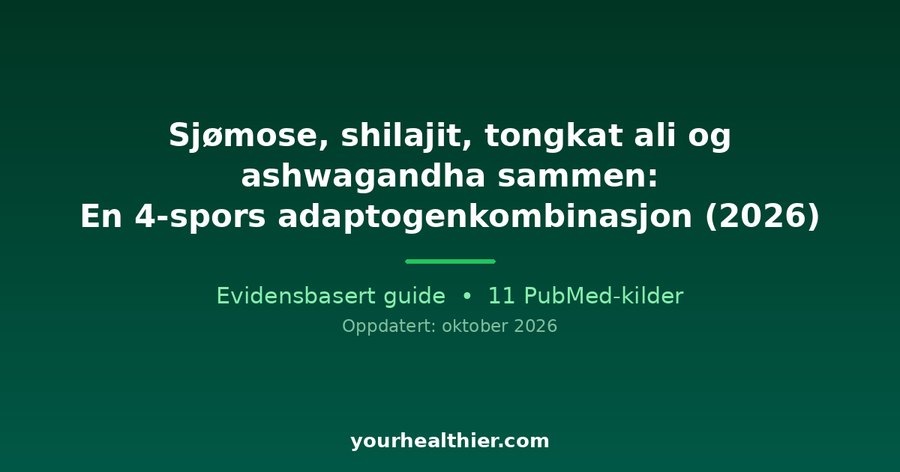 Sjømose, shilajit, tongkat ali og ashwagandha sammen: En 4-spors adaptogenkombinasjon (2026)