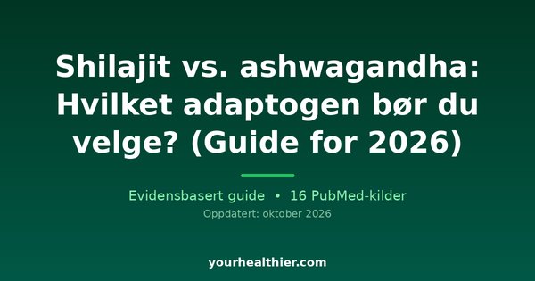 Shilajit vs. ashwagandha: Hvilket adaptogen bør du velge? (Guide for 2026)