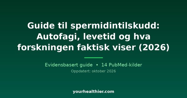 Guide til spermidintilskudd: Autofagi, levetid og hva forskningen faktisk viser (2026)