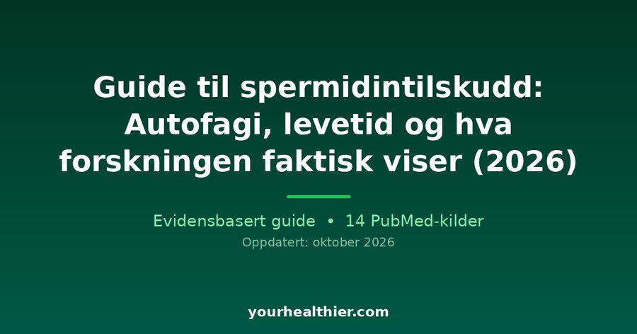 Guide til spermidintilskudd: Autofagi, levetid og hva forskningen faktisk viser (2026)