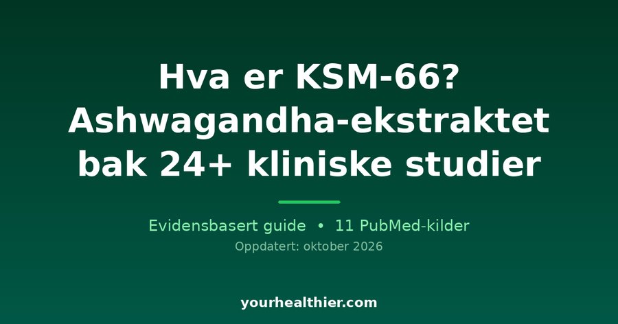 Hva er KSM-66? Ashwagandha-ekstraktet bak 24+ kliniske studier
