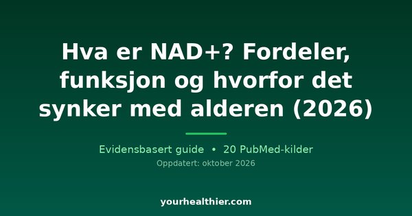 Hva er NAD+? Fordeler, funksjon og hvorfor det synker med alderen (2026)
